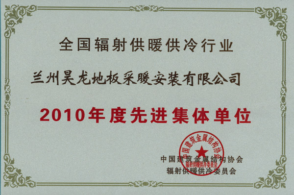 2010年度先进集体单位