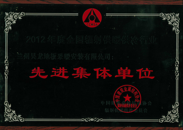 12年先进集体单位